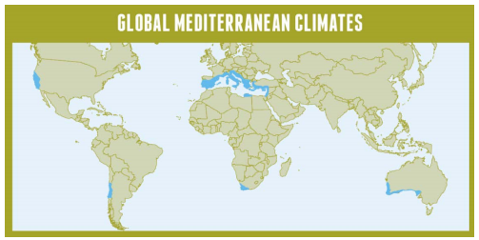 Global Mediterranean Climates